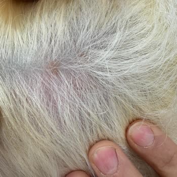 Kuaför Kabusu: Saçlarım Yandı Ve Su Yoktu!