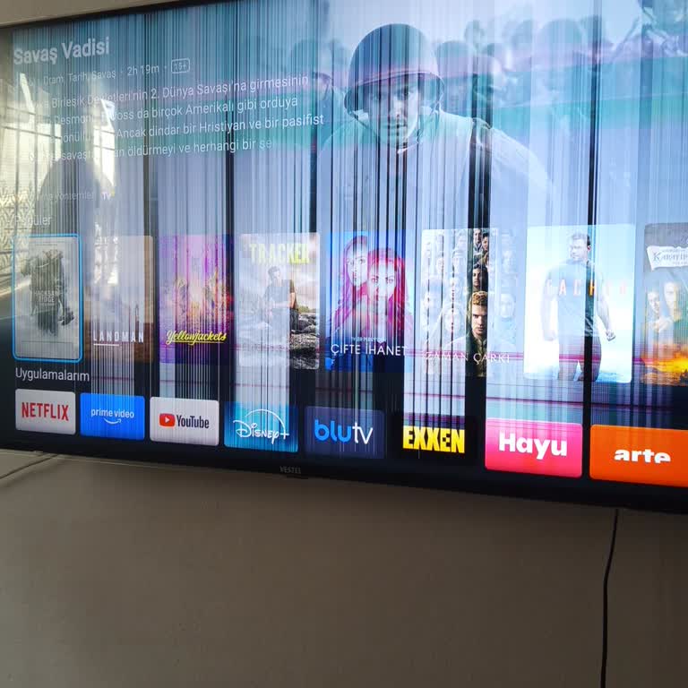Vestel Televizyonun Ekran Sorunu