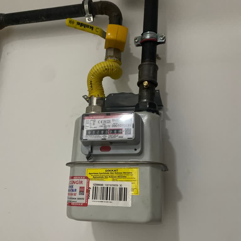 Gaz Sayaç Kesme İşleminde Yaşanan Güvenlik Sorunu