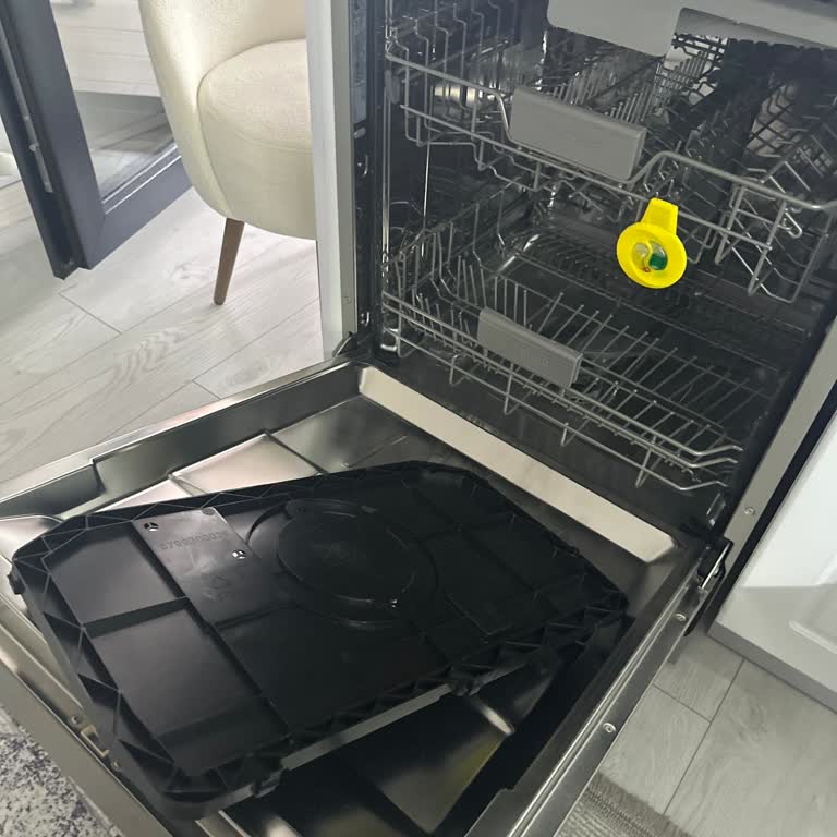 Servis Ziyareti Sonrası Bulaşık Makinesi Tamamen Bozuldu