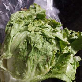 Bozuk Ve Böcekli Sebze Teslimatı