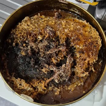 Arnas Market Bozuk Ve Kurtlu Petek Bal Şoku