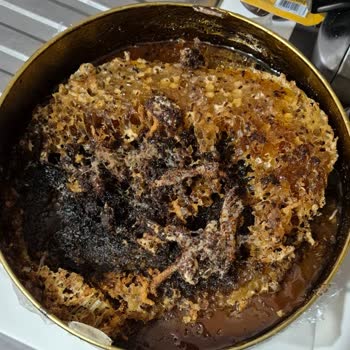 Arnas Market Bozuk Ve Kurtlu Petek Bal Şoku