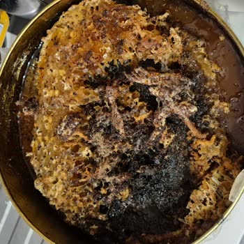 Arnas Market Bozuk Ve Kurtlu Petek Bal Şoku