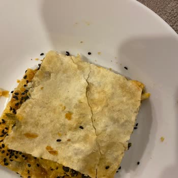 Bosch Fırın Alt Rezistans Pişirmiyor