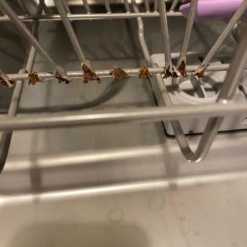 Franke Bulaşık Makinesi Sepetlerinde Paslanma Ve Çürüme Sorunu