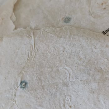 Biçen Market'ten Aldığım Küflü Lavaş Şoku