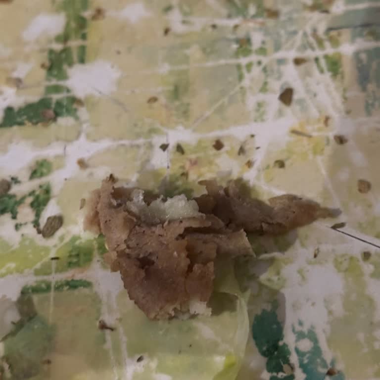 I Ordered Roast Beef from Subway but Got Sliced Doner Instead