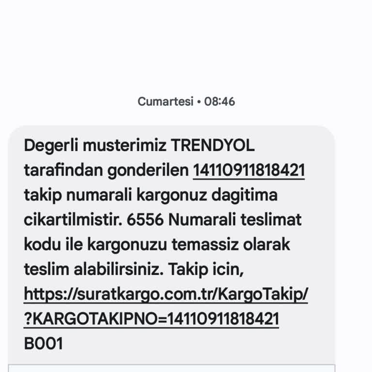 Kargom Teslim Edilmedi, Şubeden Almam İstendi