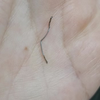 BİM'den Aldığım Hamburger Ekmeğinden Çıkan Tehlike