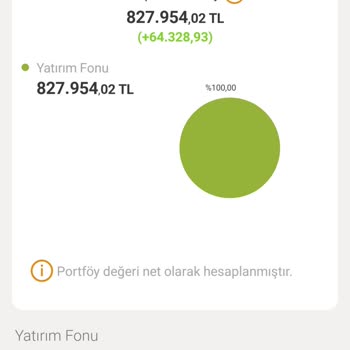 Fon 11'deki Ani Kayıp Ve Güven Sorunu