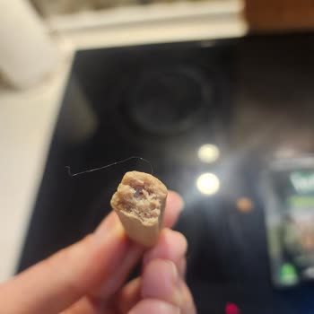 Humm Organic Grissini Ürününde Şok Edici Hijyen Sorunu