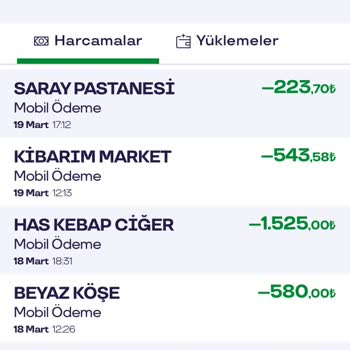 Pluxee Türkiye Plus Puan Karmaşası: Yanıltıcı Gösterim Ve Eksik Puan Yükleme
