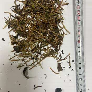 Çaykur Yeşil Çay'da Kalite Sorunu Ve Yabancı Maddeler