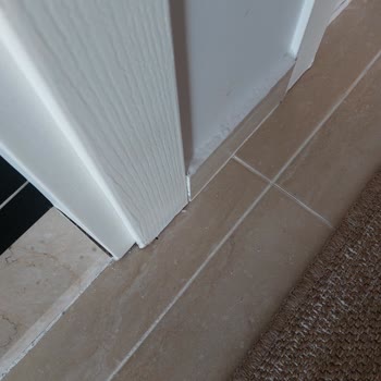 Pesvet Temizlik İşini Baştan Savma Yapan Temizlikçiden Şikayetçiyim