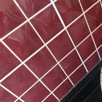 Pesvet Temizlik İşini Baştan Savma Yapan Temizlikçiden Şikayetçiyim