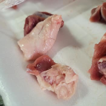 Migros Sanal Market'ten Aldığım Etlerde Hijyen Sorunu