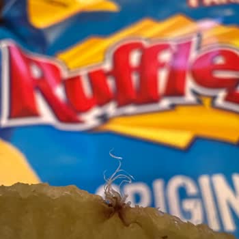 Ruffles Cipsinde Sağlığa Zararlı Durum