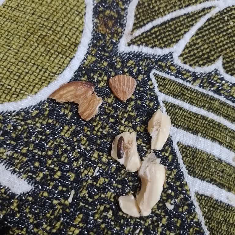 Ürünün İçinden Kurt Çıkması Ve Küf Sorunu