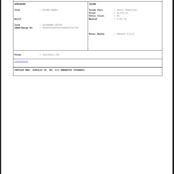 Yanlış Hesaba Gönderilen Paranın İadesi Ve Hesap İncelemesi Talebi