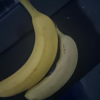 Getir Bozuk Ürün Teslimatı Ve Müşteri Memnuniyetsizliği