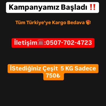 Eksik Ürün Ve Faturasız İşlem Sorunu