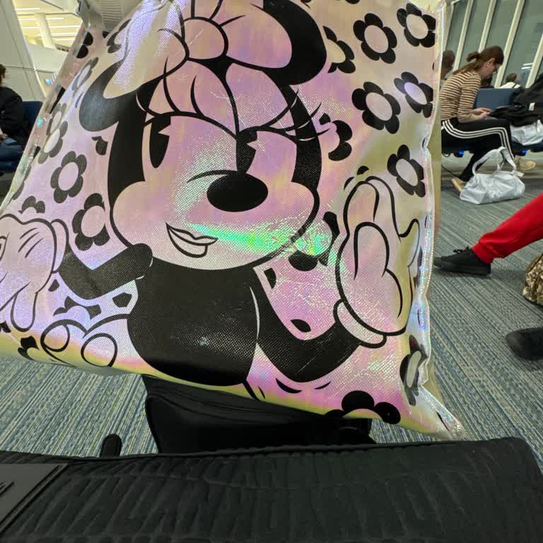 Lufthansa Adı Altında Hayal Kırıklığı: Ek Ücretlerle Dolu Bir Deneyim