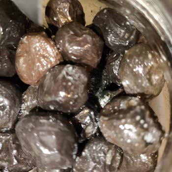 Küflü Ve Çürümüş Zeytin Şoku