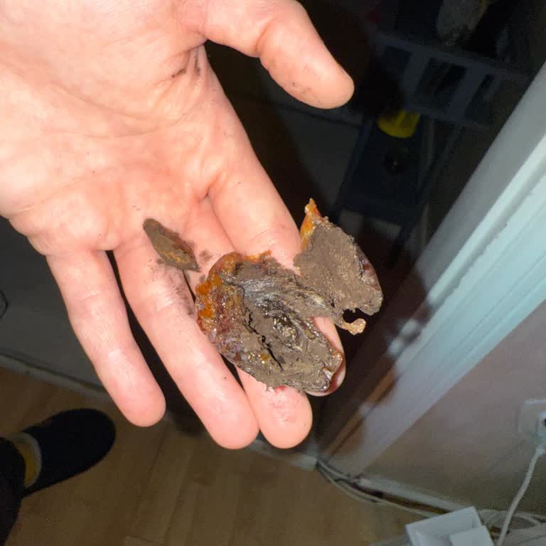 Güvenilir Marka Hayal Kırıklığına Uğrattı: Küflü Hurma