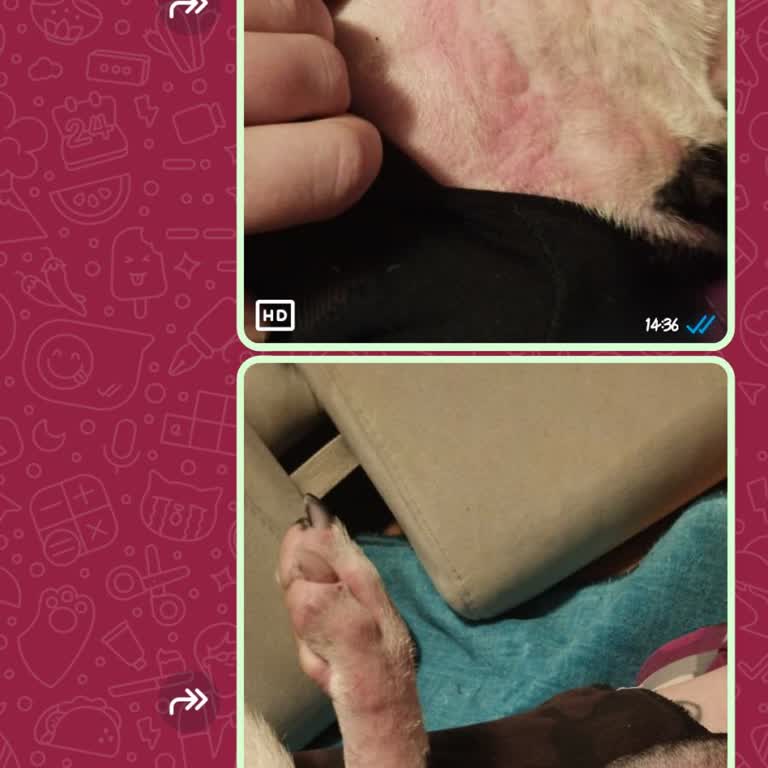 Eleman Yönlendir Temizlik Hizmeti Kabusu: Sorumsuzluk Ve İlgisizlik