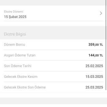 Yurt Dışında Yıllık Kart Aidatı Sorunu