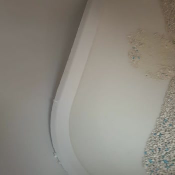 Xenon Akıllı Kedi Tuvaleti Parça Sorunu Ve Tedarik Zorluğu