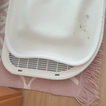 Xenon Akıllı Kedi Tuvaleti Parça Sorunu Ve Tedarik Zorluğu