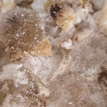 Hijyen Ve Kalite Sorunu