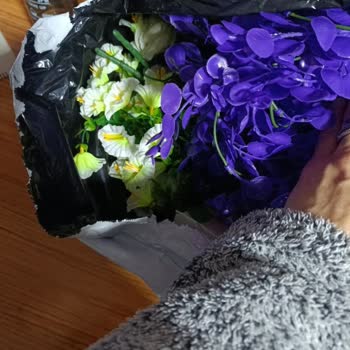 Müşteri Hizmetleri Ve Ürün Kalitesi Sorunları