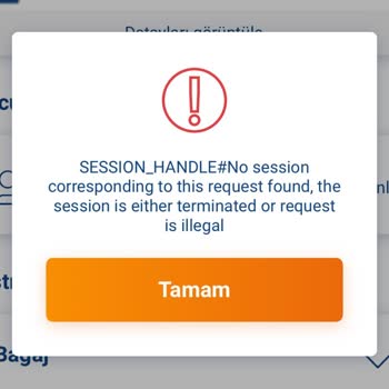 I Can’t Check In for My SunExpress Flight Online-Session_Handle Error