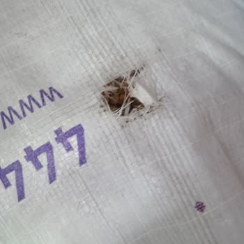 Yırtık Mama Paketleriyle Sokak Canlarını Mağdur Etmek