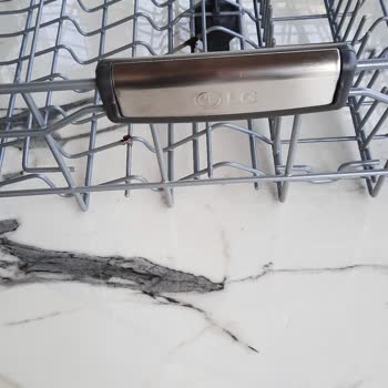 LG Bulaşık Makinesi Sepeti Paslanma Sorunu
