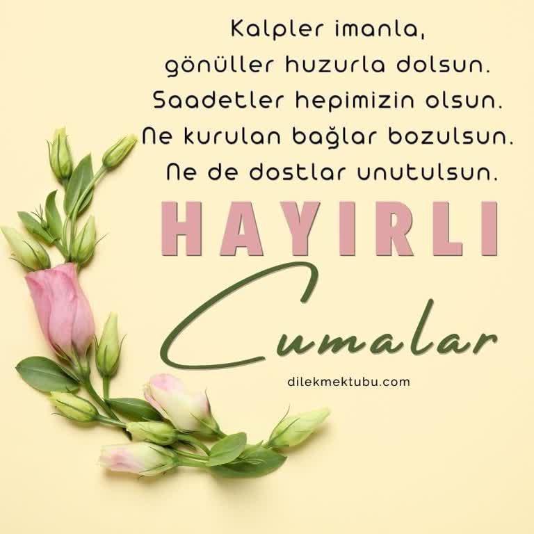 Kimyasal Koku Endişesi Taşıyan Alt Çamaşır