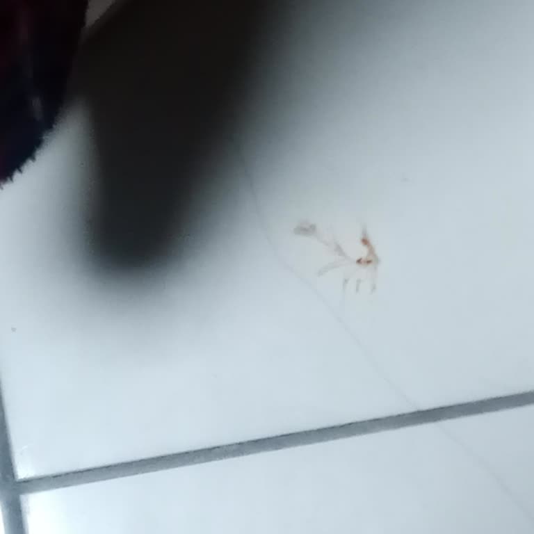 Zen Katık Döner İçinden Tavuk Tüyü Çıktı