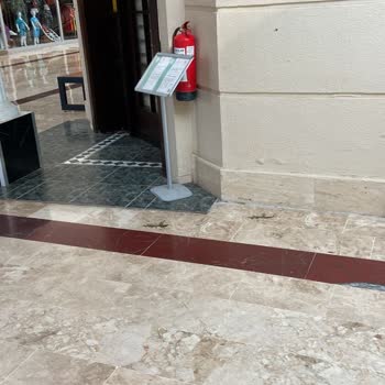 Otel Mi Kedi Yuvası Mı? Kediler Her Yerde!
