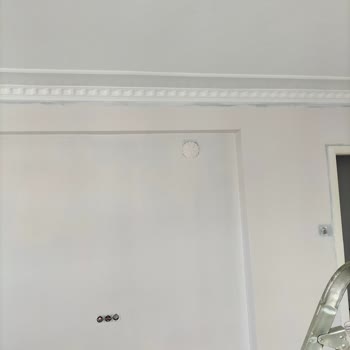 Yanlış Renk Seçimi: Polisan Beyaz Gece Rengi Sorunu