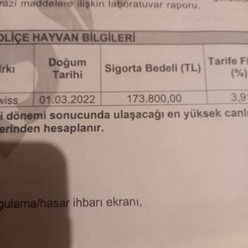 Sigorta Değeri Keyfi Olarak Düşürüldü!