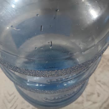 Mavizade Damacana Suyunda Yabancı Cisim Şoku