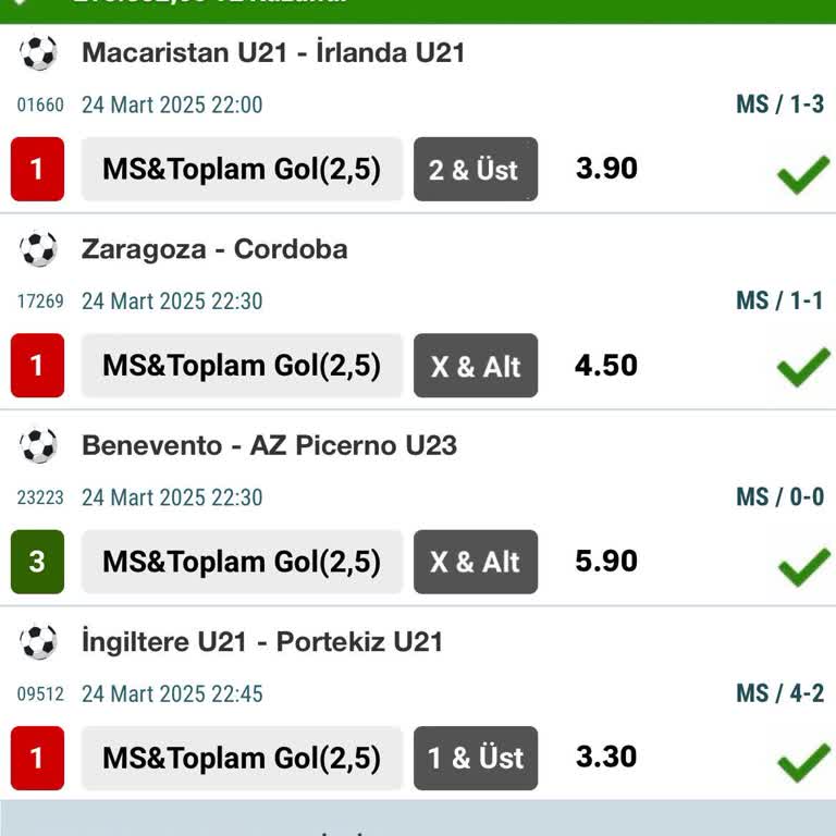 Sahte Bahis Sitesi Telegram Grubunda Yaşanan Hayal Kırıklığı