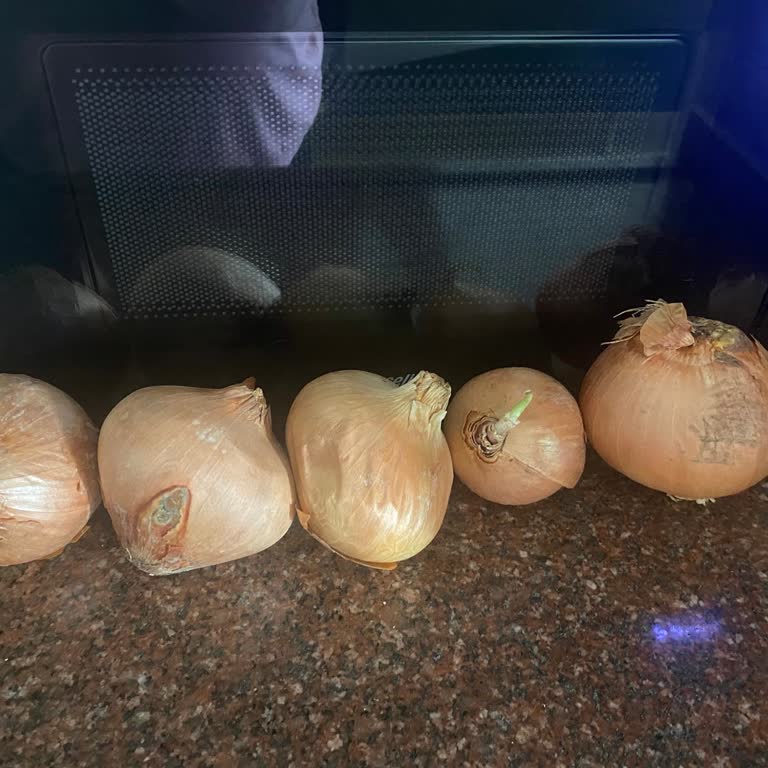 Migros Hemen'den Gelen Bozuk Soğanlar
