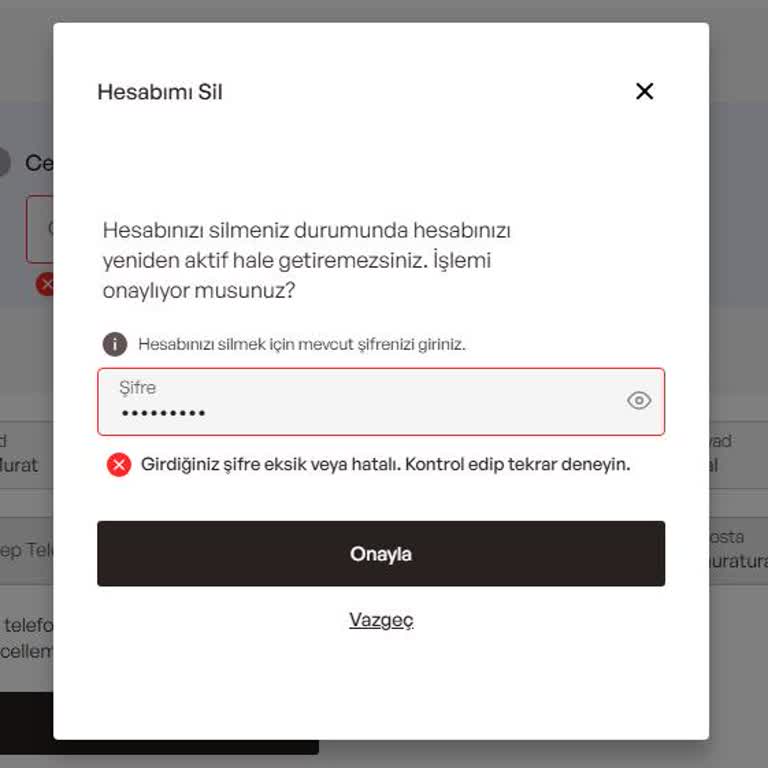 Hesap Silme İşleminde Şifre Sorunu