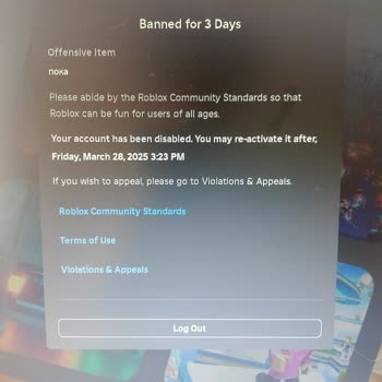 Roblox Бан за то что я написал по-русски