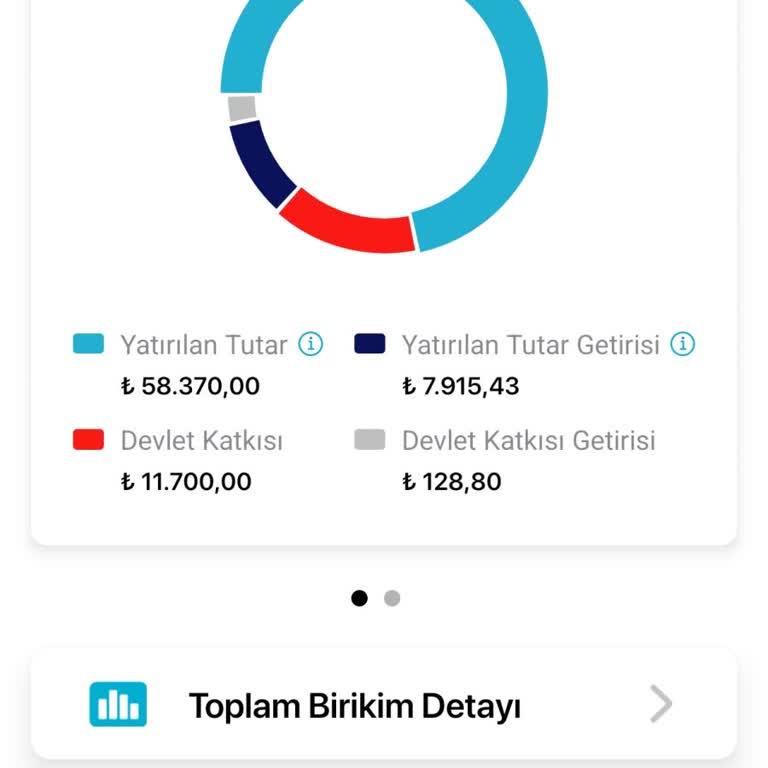 Hayal Kırıklığı Yaratan Fon Performansı Ve Yetersiz Müşteri Hizmeti