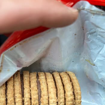 Üründe Böcek Tespiti ve Kalite Kontrol Sorunları